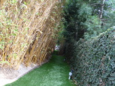 Enlarge photo 160