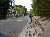 Enlarge photo 162