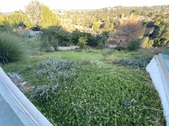 Enlarge photo 40