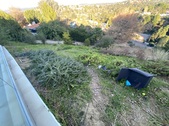 Enlarge photo 44