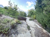 Enlarge photo 45