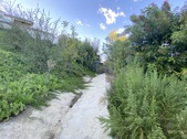 Enlarge photo 46