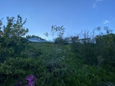 Enlarge photo 47