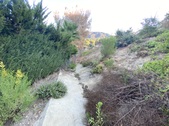 Enlarge photo 48