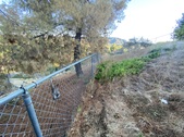 Enlarge photo 49
