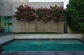 Enlarge photo 93