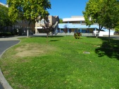 Enlarge photo 51