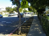 Enlarge photo 95