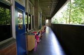 Enlarge photo 66