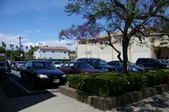 Enlarge photo 67