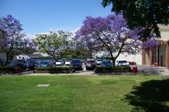 Enlarge photo 81