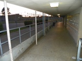 Enlarge photo 44