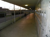 Enlarge photo 45