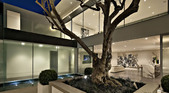 Enlarge photo 38
