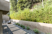 Enlarge photo 45