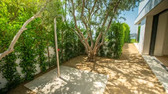 Enlarge photo 40