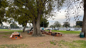 Enlarge photo 30