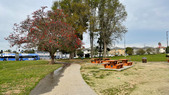 Enlarge photo 27