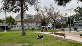 Enlarge photo 35