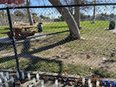 Enlarge photo 35