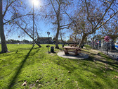 Enlarge photo 42
