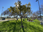 Enlarge photo 43