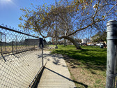 Enlarge photo 47