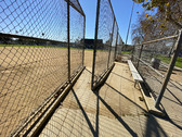 Enlarge photo 51