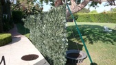 Enlarge photo 124
