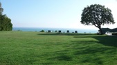 Enlarge photo 132