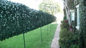 Enlarge photo 134