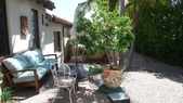 Enlarge photo 93