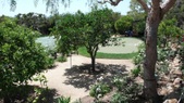 Enlarge photo 95
