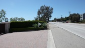 Enlarge photo 98