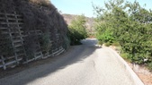 Enlarge photo 104