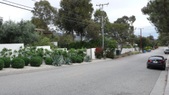 Enlarge photo 125