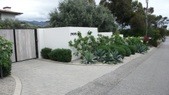 Enlarge photo 129