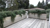 Enlarge photo 56