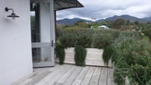 Enlarge photo 57