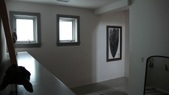 Enlarge photo 81