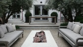 Enlarge photo 85