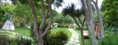 Enlarge photo 47
