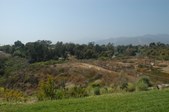 Enlarge photo 64