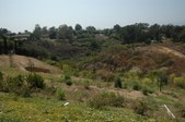 Enlarge photo 68
