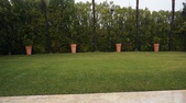 Enlarge photo 70