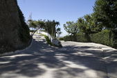 Enlarge photo 53
