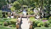 Enlarge photo 35