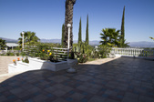 Enlarge photo 63