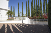 Enlarge photo 72