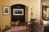 Enlarge photo 24